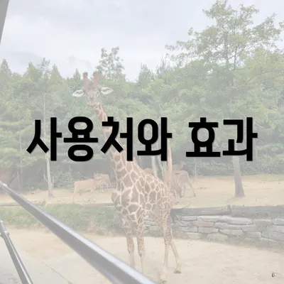 사용처와 효과