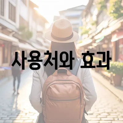 사용처와 효과