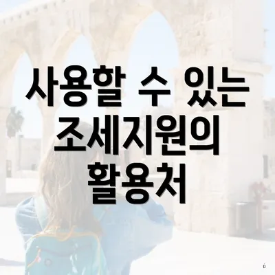 사용할 수 있는 조세지원의 활용처