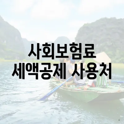 사회보험료 세액공제 사용처
