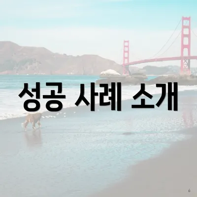 성공 사례 소개
