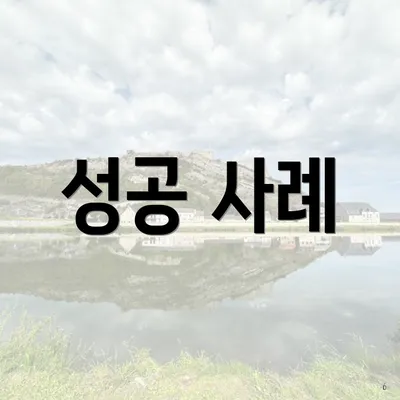 성공 사례