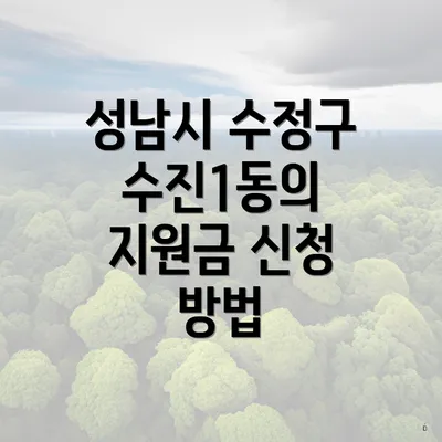 성남시 수정구 수진1동의 지원금 신청 방법