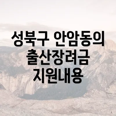 성북구 안암동의 출산장려금 지원내용
