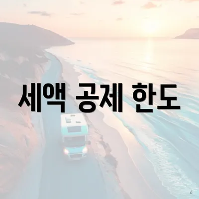 세액 공제 한도