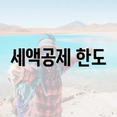 세액공제 한도