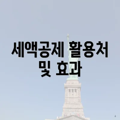 세액공제 활용처 및 효과