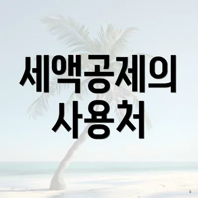 세액공제의 사용처