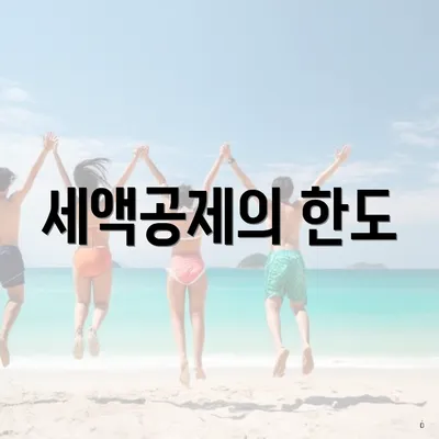 세액공제의 한도