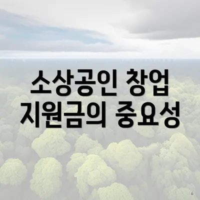 소상공인 창업 지원금의 중요성