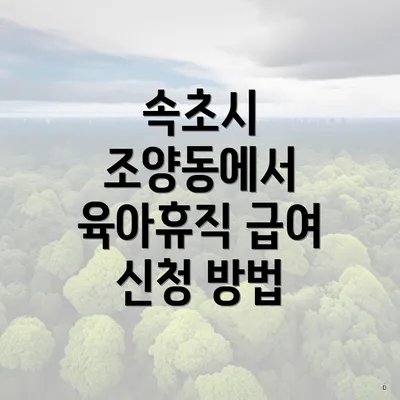 속초시 조양동에서 육아휴직 급여 신청 방법
