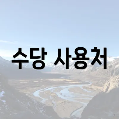 수당 사용처