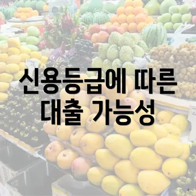 신용등급에 따른 대출 가능성