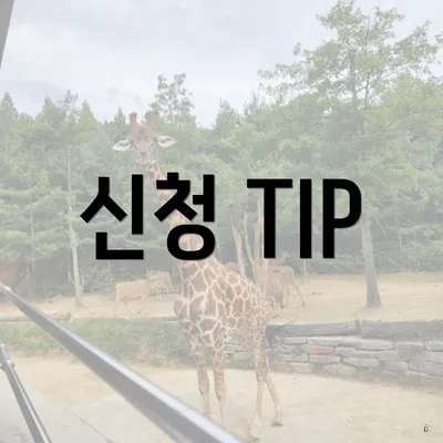 신청 TIP