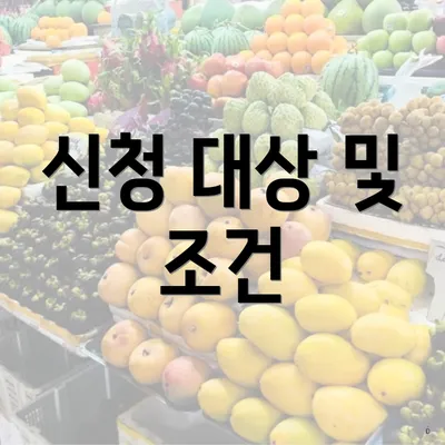 신청 대상 및 조건