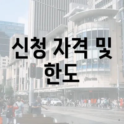 신청 자격 및 한도