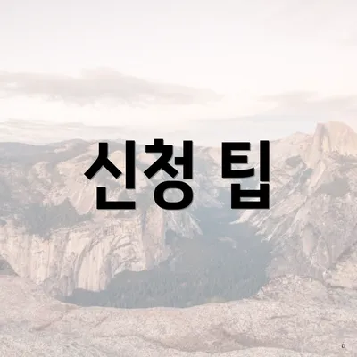 신청 팁