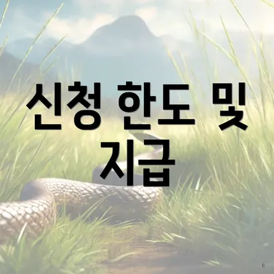 신청 한도 및 지급