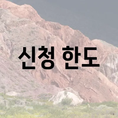 신청 한도