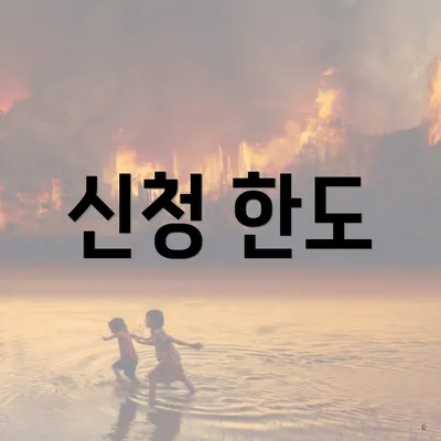 신청 한도