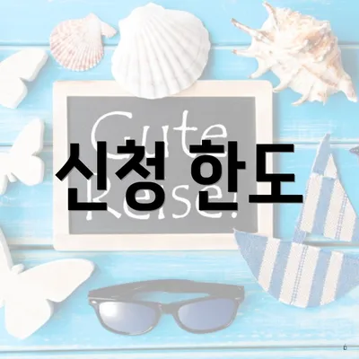 신청 한도