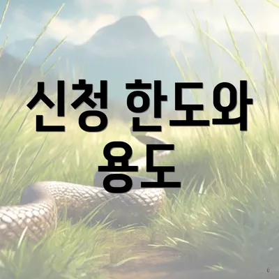신청 한도와 용도