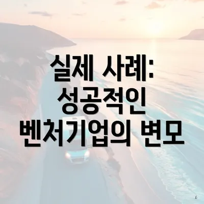 실제 사례: 성공적인 벤처기업의 변모