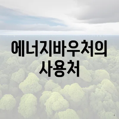 에너지바우처의 사용처