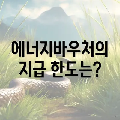 에너지바우처의 지급 한도는?