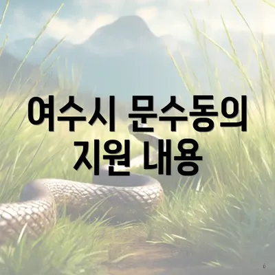 여수시 문수동의 지원 내용