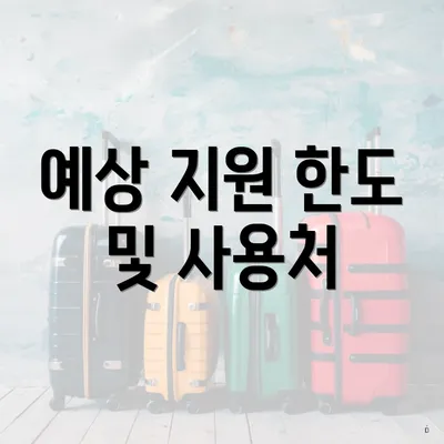 예상 지원 한도 및 사용처