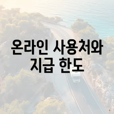 온라인 사용처와 지급 한도