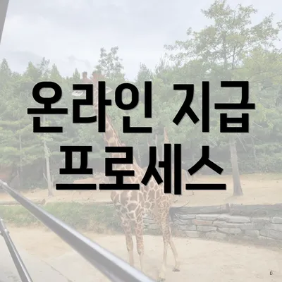 온라인 지급 프로세스