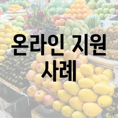 온라인 지원 사례