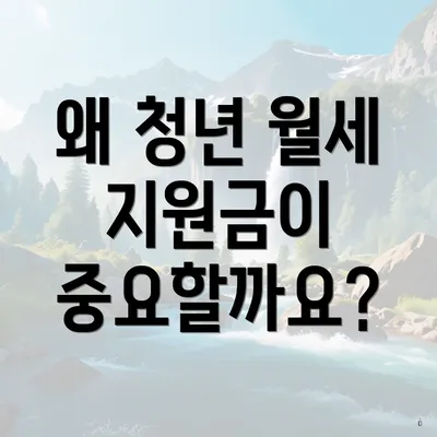 왜 청년 월세 지원금이 중요할까요?