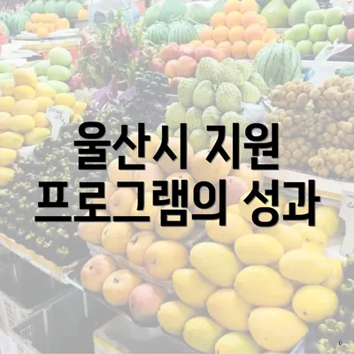 울산시 지원 프로그램의 성과