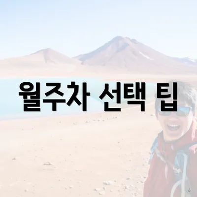 월주차 선택 팁