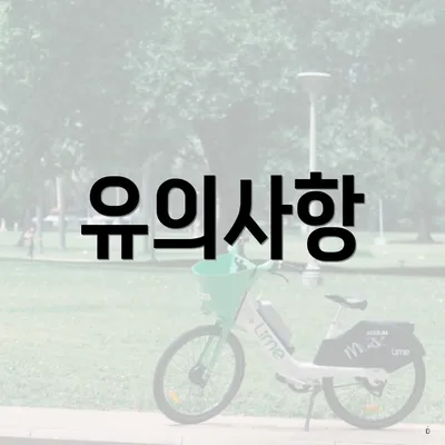 유의사항