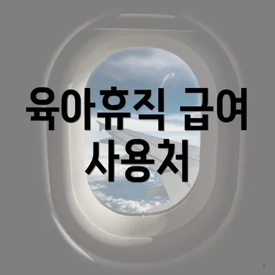 육아휴직 급여 사용처