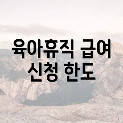 육아휴직 급여 신청 한도