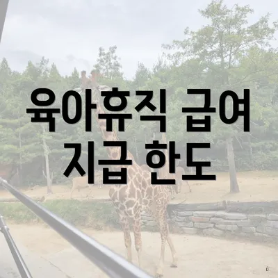 육아휴직 급여 지급 한도