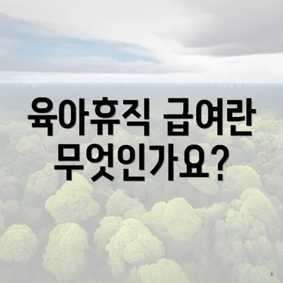 육아휴직 급여란 무엇인가요?