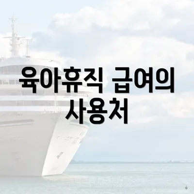 육아휴직 급여의 사용처