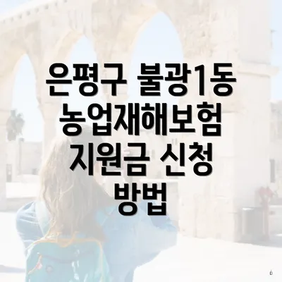 은평구 불광1동 농업재해보험 지원금 신청 방법