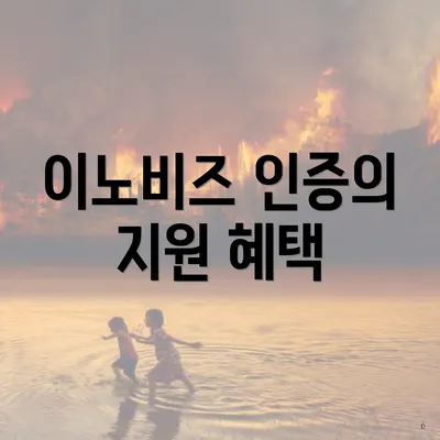 이노비즈 인증의 지원 혜택