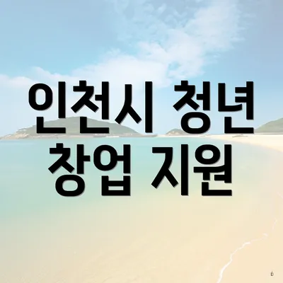 인천시 청년 창업 지원