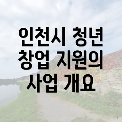 인천시 청년 창업 지원의 사업 개요