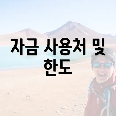 자금 사용처 및 한도