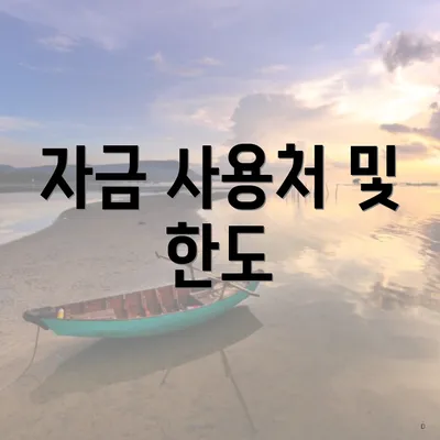 자금 사용처 및 한도