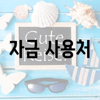 자금 사용처